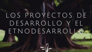 Los proyectos de desarrollo y el etnodesarrollo